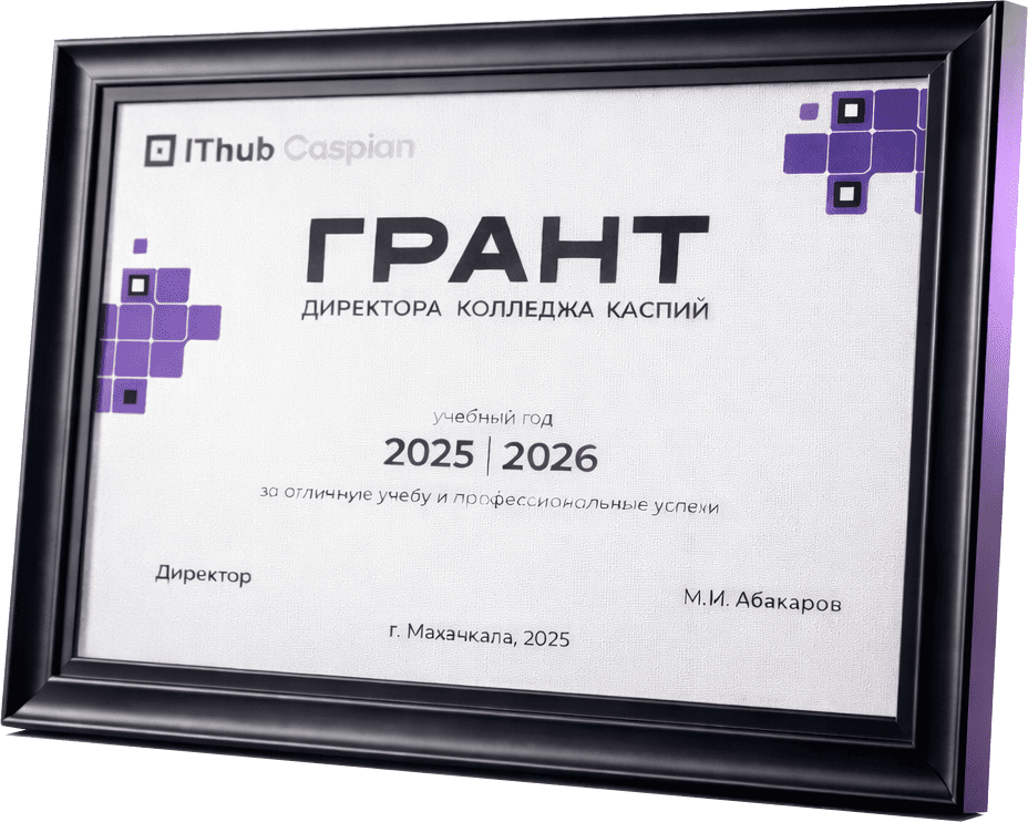 Грант директора